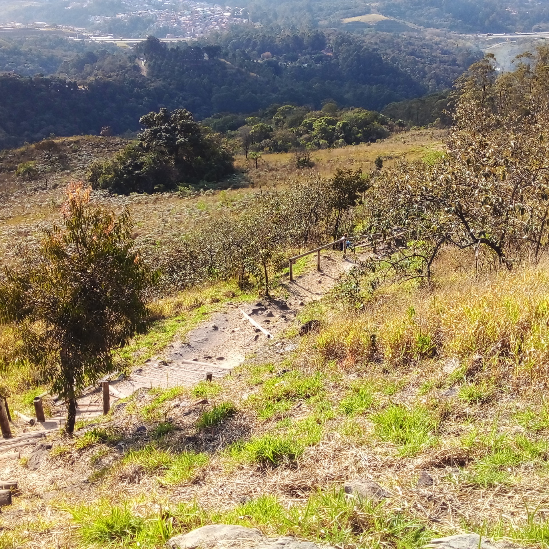 Mata Atlântica e Remanescente de Cerrado