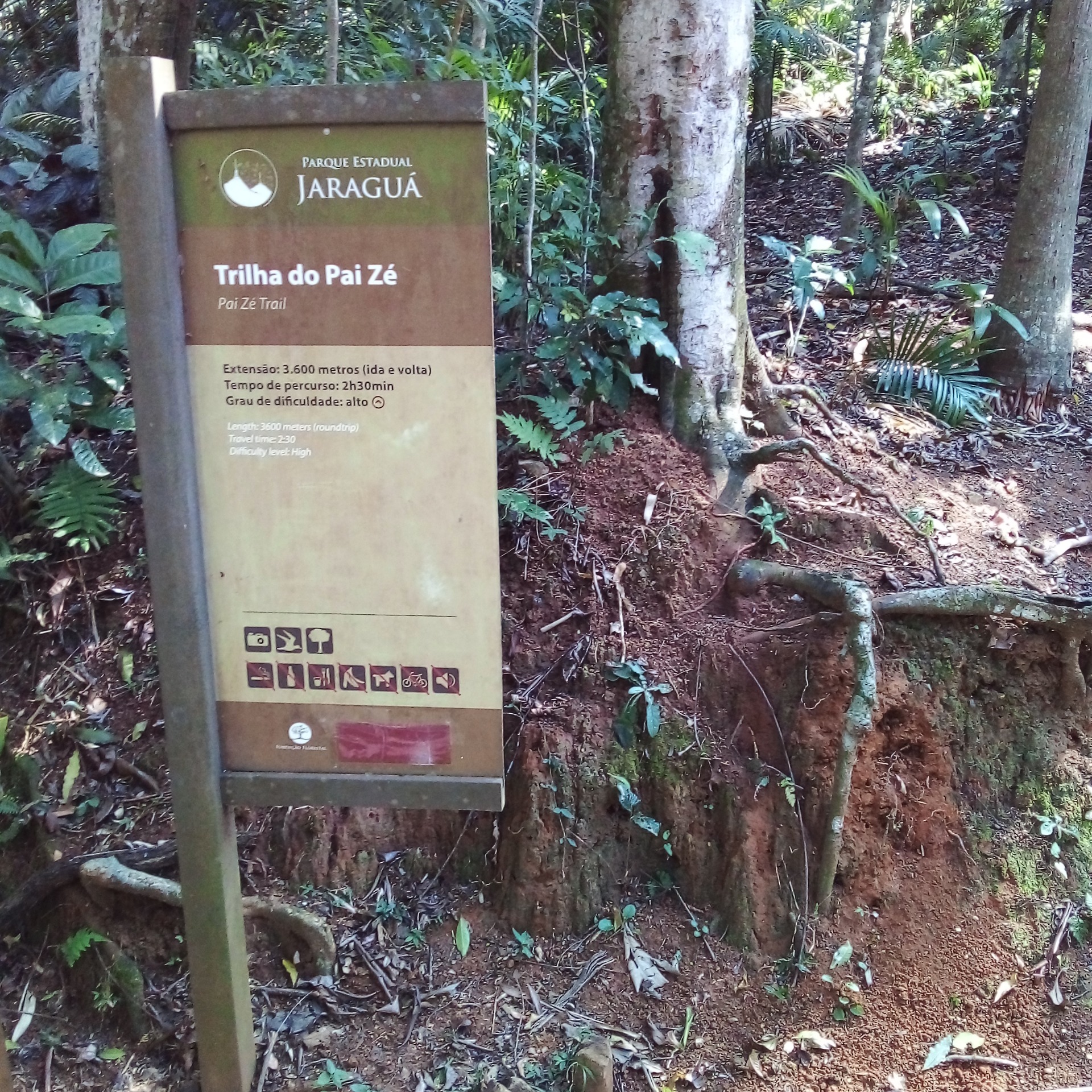 Trilha do Pai Zé | PE. do Jaraguá